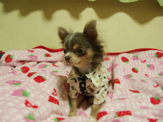 PICT0013.JPG
