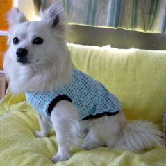 080616 のコピー.JPG