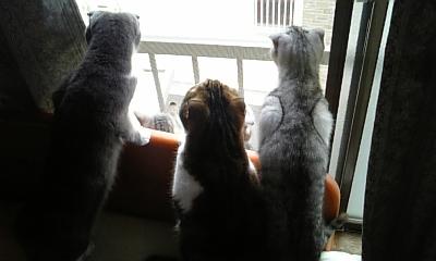 空気が気持ちいいね