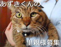 あずきくん（小）.gif