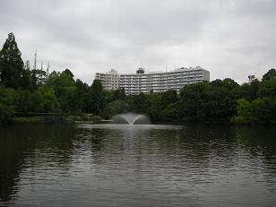 2009.5.16井の頭公園池.JPG