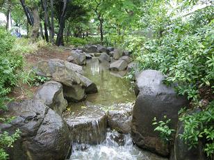 2009.5.24せせらぎ公園.JPG