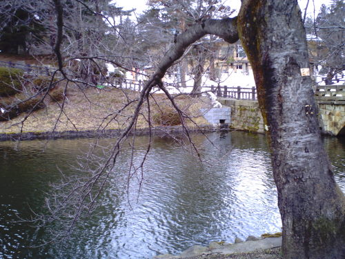 上杉神社～