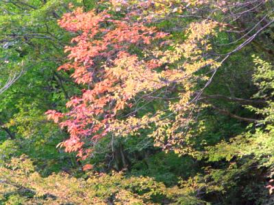 はるか遠くでは