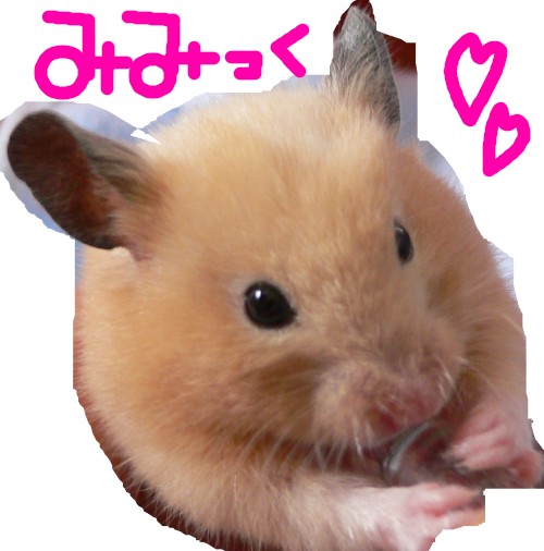 みみっくちゃん.jpg