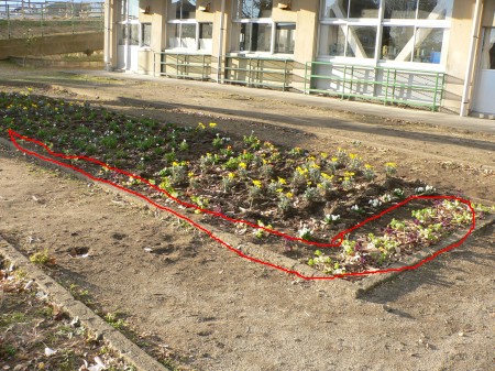 小学校の花壇.jpg