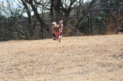 IMG_0765_400.jpg