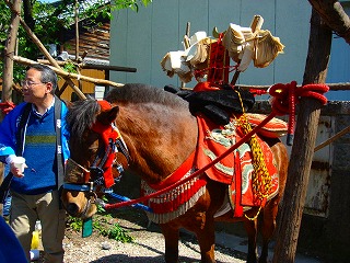 幸福を運ぶ馬