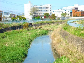 春の河