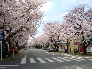 石刀神社　参道　