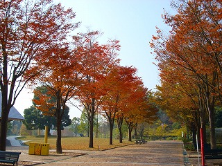 秋の風景 4