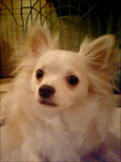 小太郎１歳１か月