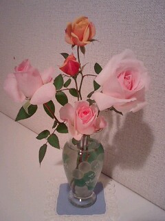 ピンクシフォン