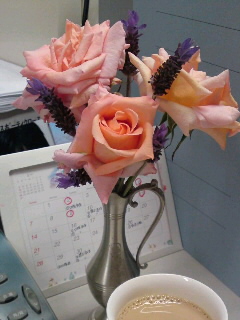 タンジェリーナ