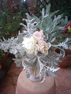 シルバーレース