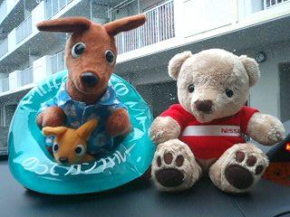 乗ってカンガル～