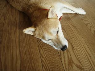 とろとろ