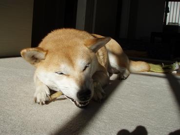 し