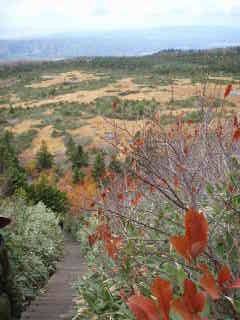 八甲田山 025.jpg