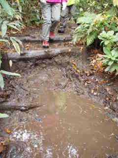 八甲田山 026.jpg