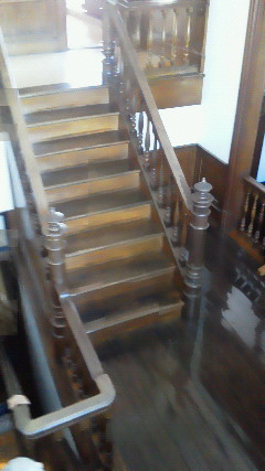 NEC_0050.JPG