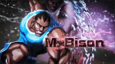 bison.jpg