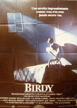 103 birdy.jpg