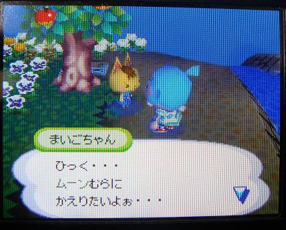 まいごのこねこちゃん　