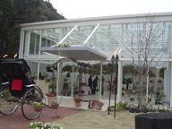 ぶどうの樹チャペル１