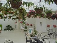 ぶどうの樹チャペル２