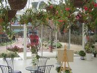 ぶどうの樹チャペル３