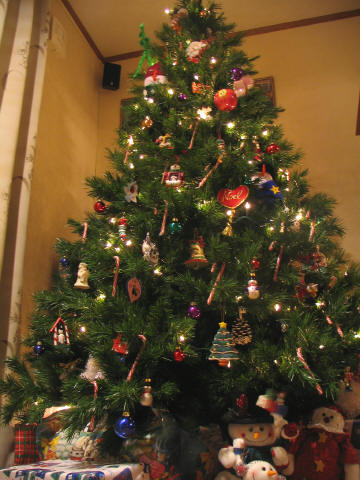 2005-12-16 20:24:23