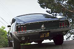 mustang2.jpg