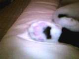 2005-07-29 13:00:15