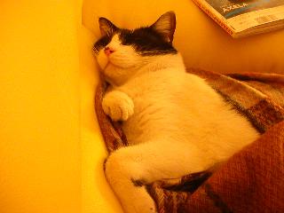 DSCN4046.JPG