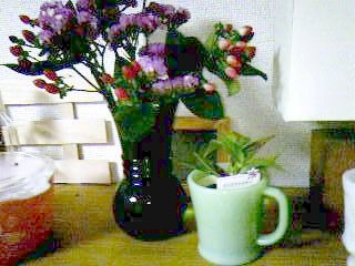 2005-04-15 11:56:20