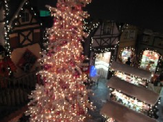 IMG_1866.JPG