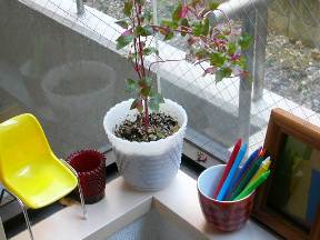 2005-11-15 11:44:16