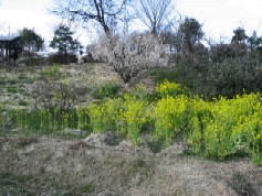 IMG_1753.JPG