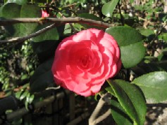 IMG_1759.JPG