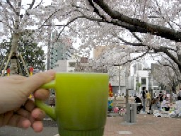 IMG_1958.JPG