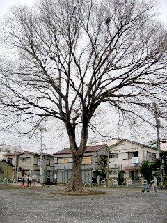 IMG_1965.JPG