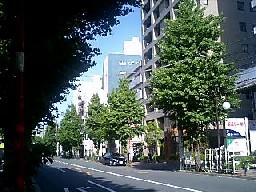 青空1.jpg