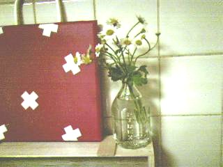 2005-04-13 11:25:32