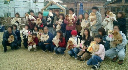 ドッグファン倶楽部オフ