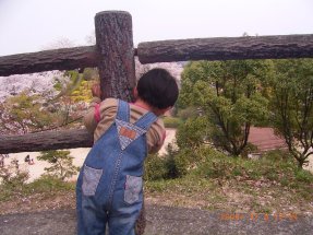 柵の外からR0016424.jpg
