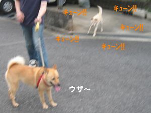 ミゾケンとハチパパ３
