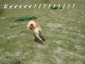 ヒィィィ！！！！！！！！！