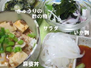 ハチパパの晩御飯236