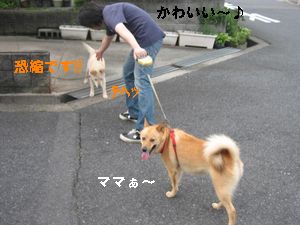 ミゾケンとハチパパ５